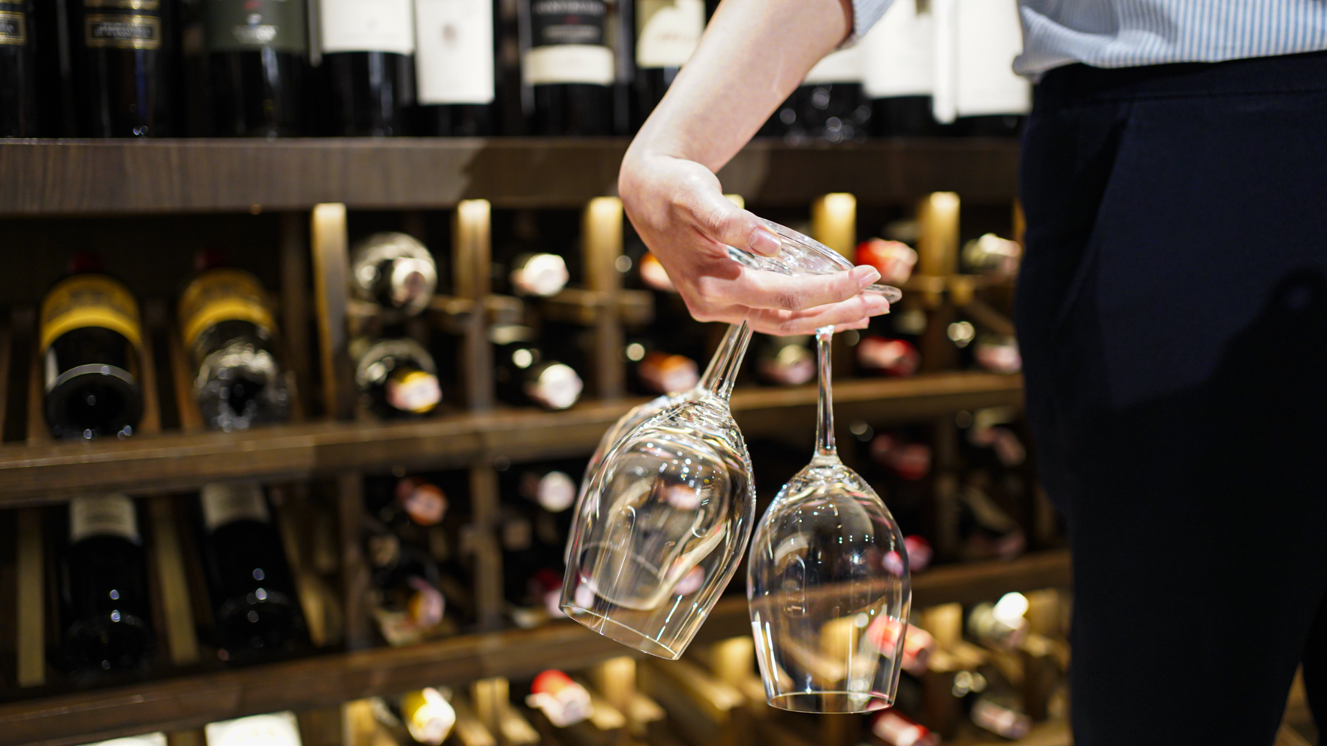 Wine Merchant in Bangkok, The Cellar.png